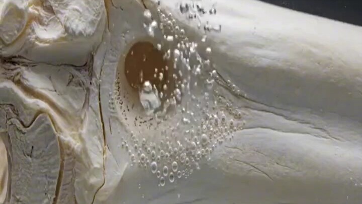 Viên nang làm từ xương động vật