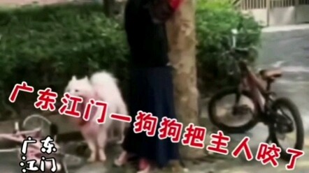Anjing menggigit tuannya hingga berdarah-darah, sementara sang tuan terbaring di tepi pohon dalam ke