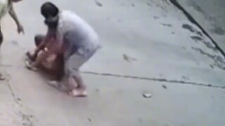 Domestic Dog vs. Fierce Dog