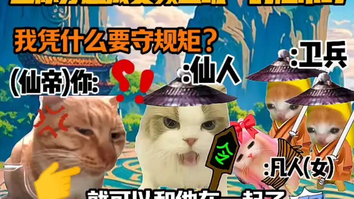 Cat Meme Sketch: What If You Traveled Through Time and Became the Only Immortal Emperor in a Female-