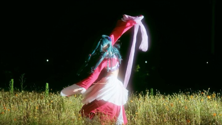 A Moonlit Farewell Dance by the Kitty