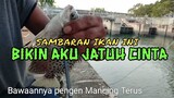 Greget ! Perlawanan Ikan ini Saat di Tarik bikin Aku Ketagihan Pengen Mancing terus || Mancing Mania