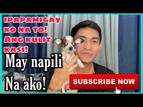 IPAPAMIGAY KO NA TO! | SUPER MARCOS VLOGS