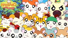 แฮมทาโร่ แก๊งจิ๋วผจญภัย ปี2 ตอนที่ Vol.2