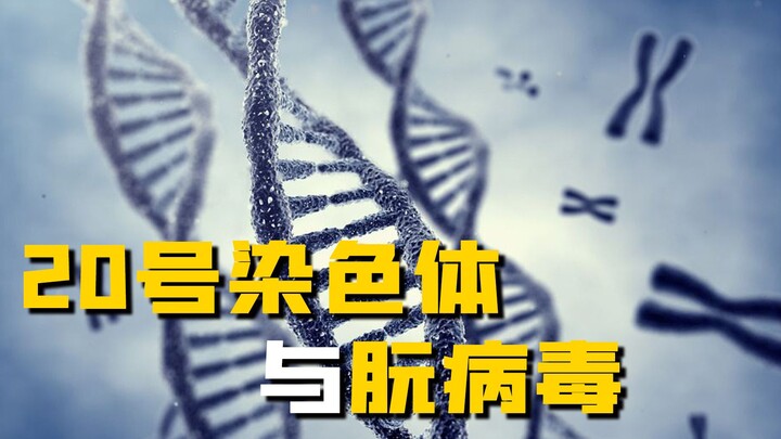 【Mengungkap Misteri】Gen Spesial di Kromosom 20 Manusia yang Menyelamatkan Kita dari Bencana Akibat P