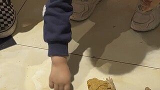 cute little lizard