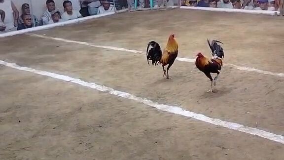 first fight 2 hits ulutan