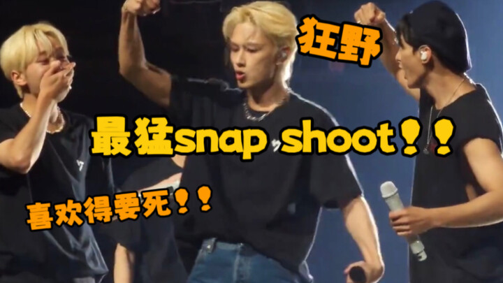 【Multi-pandangan】Apa yang membuat Wen Junhui berubah menjadi kucing liar di Amerika!! Krump menggunc