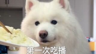 วันนี้ลูกกินผัก 6 อย่างกับซุปหนึ่งถ้วย