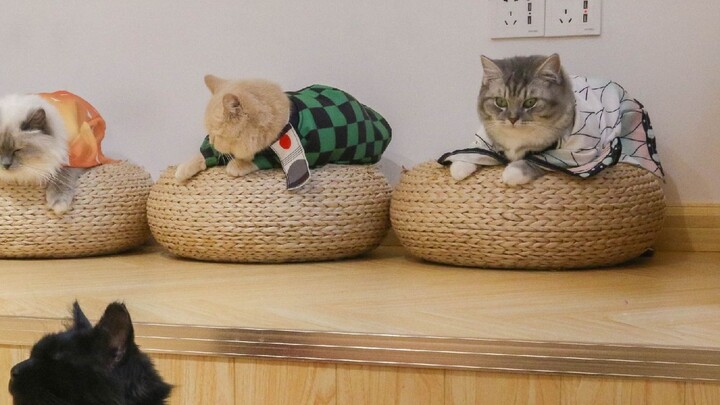 Hammer! Tanjiro is not dead!