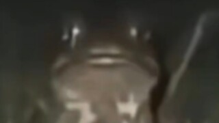 [Abstract] "Frog Mud"