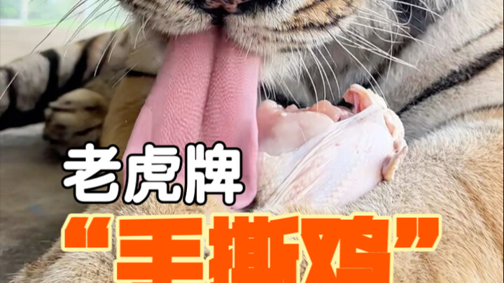 นี่คือวิดีโอที่เหมาะจะดูพร้อมกับข้าว!