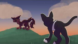 6 AM - a tallstar pmv