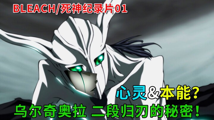 人物志|心灵&本能？乌尔奇奥拉二段归刃的秘密！死神bleach|境界