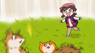 【Episode 4】Apa! ! Hamster adalah karnivora? !