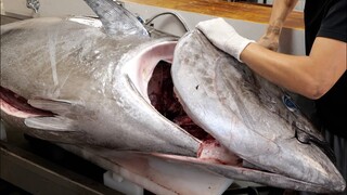 規格外すぎる。150kg超えのマグロを解体してみると。。。