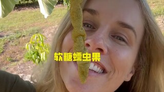 Meskipun buah cacing kenyal terlihat seperti cacing, buah ini manis, berair, dan kaya akan berbagai 