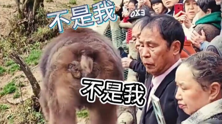 มันไม่ยุติธรรม ฉันไม่ได้แตะมันเลย
