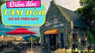 Du Lịch Tam Đảo 2021 | TAM ĐẢO TRAVEL