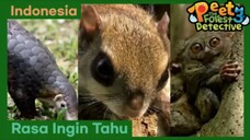 Rasa Ingin Tahu Membuat Orang Semakin Penasaran! - Peet The Forest Detective 3 (Bahasa Indonesia)