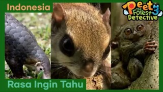 Rasa Ingin Tahu Membuat Orang Semakin Penasaran! - Peet The Forest Detective 3 (Bahasa Indonesia)