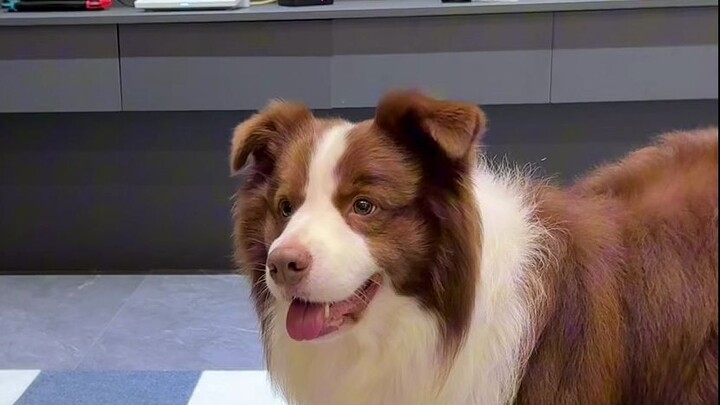 น้องปลาพยายามอย่างมากแล้วที่จะไม่มอง แต่มันก็ห้ามสายตาตัวเองไม่ได้