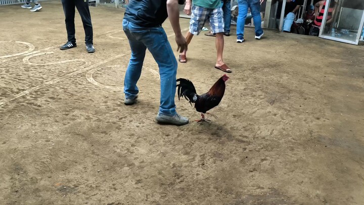 2nd Fight W 2 hits ulutan taytay arena