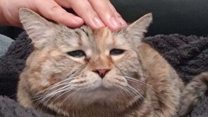 The Clanging Old-Age Switch