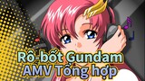 [Rô-bốt Gundam]SEED & Destiny/AMV chính thức Tổng hợp_G1