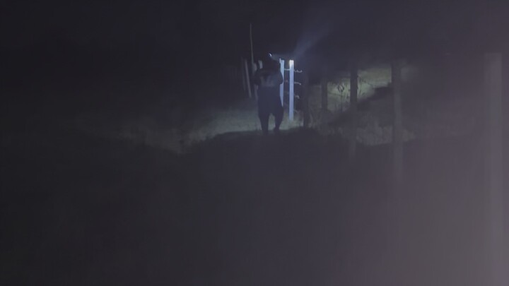 แสงสู่ปีใหม่