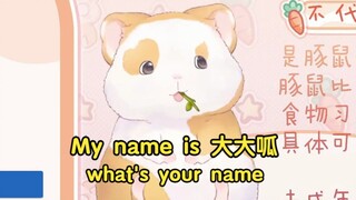 花玲展示自己的塑料英语，毕生所学了属于是！【花玲片2】