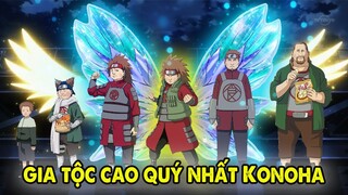 “Gia Tộc Cao Quý Nhất Konoha” | Top 10 Sự Thật Thú Vị Về Gia Tộc Akimichi Naruto