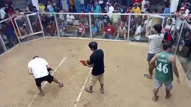 Dec.25,2023 1st fight pumpkin x high action kelso