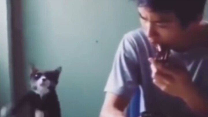 Gì mà ồn ào vậy?