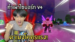 เผ่าไซบอร์ก v4 ทำยากมาก!! แต่ถ้าได้มาคุ้มค่าแน่นอน แรงจัดๆ Blox Fruits