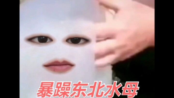 Meme sứa (phiên bản Đông Bắc & bốc đồng)