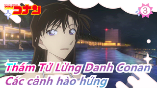 [Thám Tử Lừng Danh Conan] Phim điện ảnh| Các cảnh hào hứng tất cả 15 Mùa_3