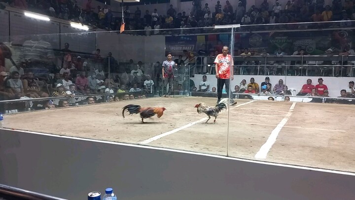 4 stag derby @ polomolok sport complex