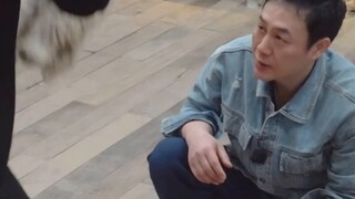[Khu Vườn Kỳ Diệu] Mặt bất an của chú chó hoang Tiểu Bạch. May mắn thay, chú đã gặp được Trương Tùng
