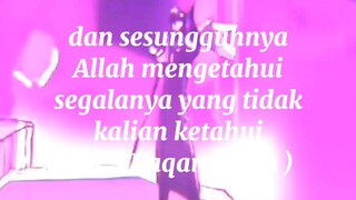 the halal Vidio🤟