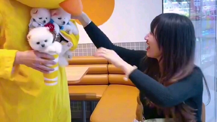 أي حيوان أليف يناسبك؟