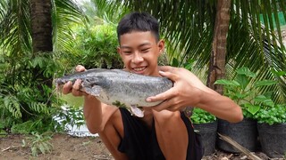 Một bầy cá trê lạc về chòi. Cá trê chiên giòn mắm nêm - Bin Đen Miền Tây # 351