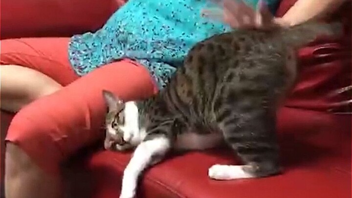 As soon as her butt pops up, she's hopeless.