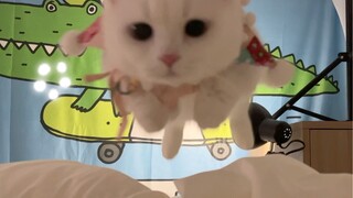 การกระโดดนี้! คุณจะรับไหวไหม!