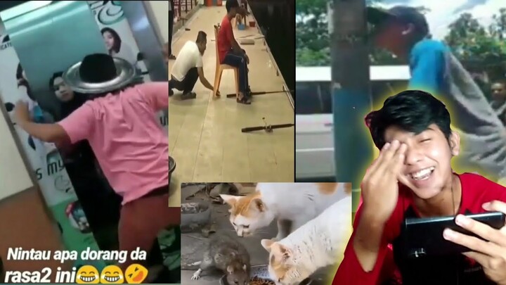 Kita Reaction Meme Dulu ya Kampr*t..!!! :v || Reaction Meme Ngakak