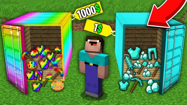Minecraft NOOB vs PRO: NOOB BOUGHT RAINBOW CONTAINER FOR 1000$ VS DIAMOND CONTAINER FOR 1$! trolling