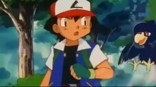 Tập 243 Bảo Bối Thần Kỳ Trọn Bộ (Pokemon (2016)) 2016 HD-VietSub