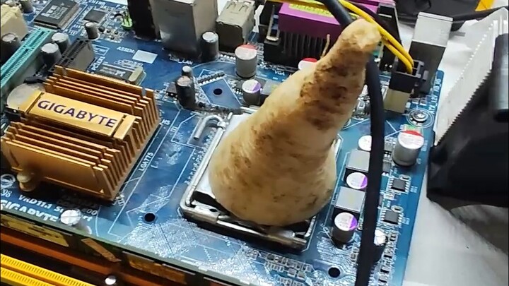 【Film Terlarang Tuba】Radiator wortel benar-benar bisa digunakan, bahkan setelah matang tetap bisa di