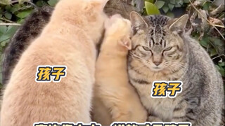 Who did you say is mom!?