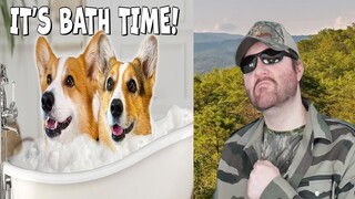 Funny Dogs Just Want Bath Time - Hammy & Olivia Compilation - Reaction! (BBT)